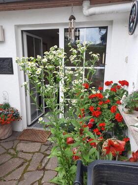 Foto - Reihenhaus Innenlage von Tangermünde