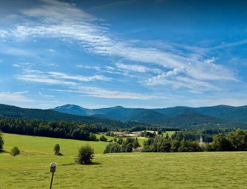 Foto - Wohnung in traumhafter Lage - 369,00&nbsp;EUR Kaltmiete, ca.&nbsp; 57,50&nbsp;m&sup2;