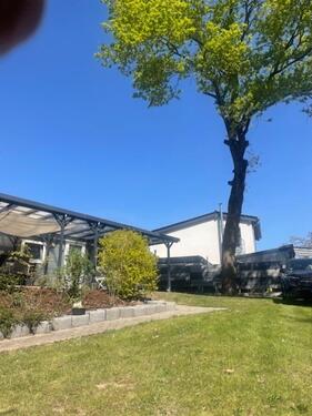 Foto - andere zur Miete in Recklinghausen