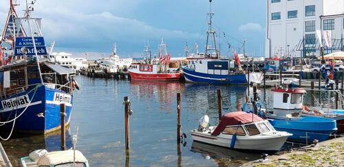 Foto - andere in Mansfeld zur Miete