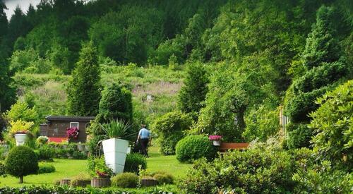 Foto - Ferienwohnung mit ❤️ - 40,00 EUR Kaltmiete,