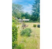 Helle 3-Zimmer-Wohnung, ab 01.07.2026 in Hanau-Steinheim