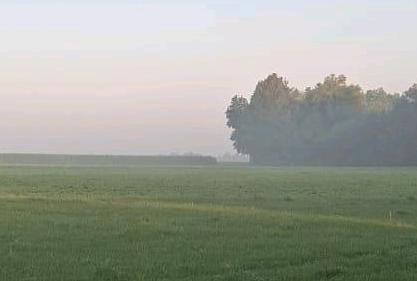 Foto - Schrebergarten mit Bachzugang in 73660 Urbach