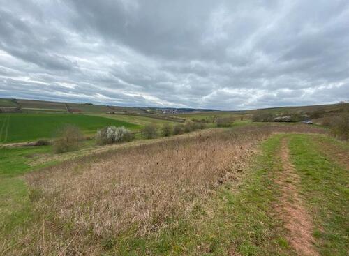 Foto - Wiese Grundstück - 100,00&nbsp;EUR Kaltmiete, ca.&nbsp; 0,00&nbsp;m&sup2;