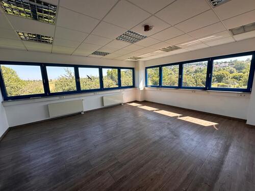 Foto - Helle und großzügige Bürofläche in Groß-Umstadt – provisionsfrei