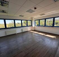 Helle und großzügige Bürofläche in Groß-Umstadt – provisionsfrei