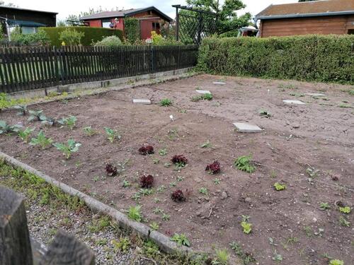 Foto - Grundstück zur Miete in Crimmitschau