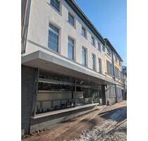 Geschäftshaus mit Wohn- und Nutzflächen auf der Insel Ratzeburg