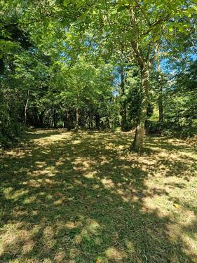 Foto - Grundst&uuml;ck zur Miete in Klingenmünster