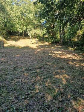 Foto - Grundst&uuml;ck in Klingenmünster