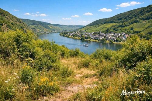 Foto - Freizeitgrundstück Weinberg zu vermieten