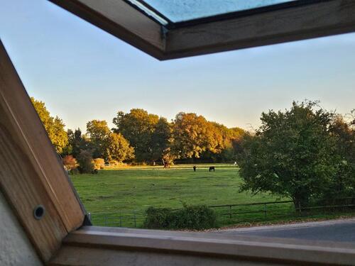 Foto - 4 Zimmer Einfamilienhaus in Hamburg