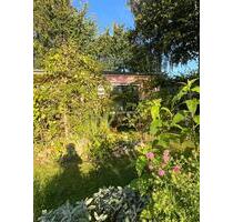 Garten: Devin Stralsund, strandnah