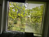 Foto - Einfamilienhaus in Stralsund zum Kaufen