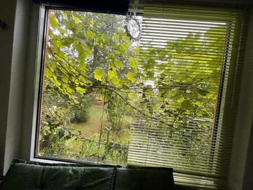 Foto - Einfamilienhaus in Stralsund zum Kaufen