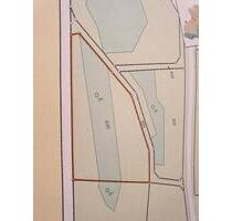 Wiese, Wald, Weide, Steinbruch, Freizeit in 67822 Kalkofen - Winnweiler