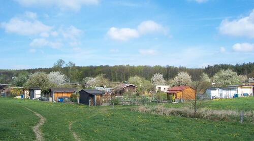 Foto - Grundst&uuml;ck in Chemnitz zur Miete