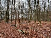 Foto - Bushcraft, Freizeitgrundstück - 50,00&nbsp;EUR Kaltmiete, ca.&nbsp; 0,00&nbsp;m&sup2;