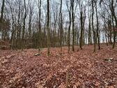 Foto - Grundst&uuml;ck zur Miete in Ettringen