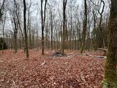Foto - Grundst&uuml;ck in Ettringen