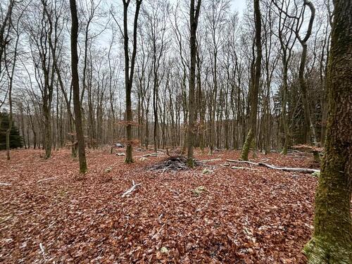 Foto - Grundst&uuml;ck in Ettringen