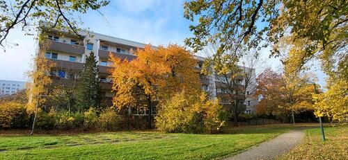 Foto - 4 Zimmer Wohnung zum Verkauf in Grünau- Ost Leipzig Provisionfrei
