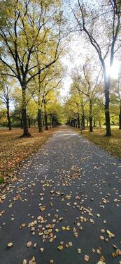 Foto - Etagenwohnung in Leipzig