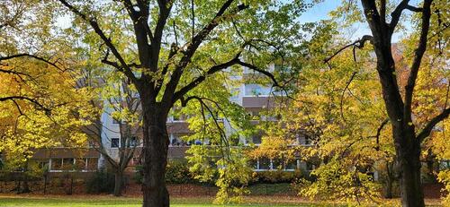 Foto - Etagenwohnung in Leipzig zum Kaufen