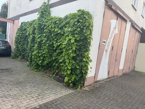 Foto - andere zur Miete in Emmendingen