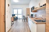Foto - 1 Zimmer Erdgeschoßwohnung zur Miete in Straubing