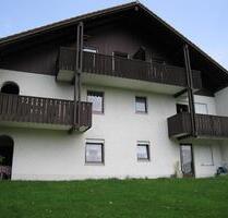 1-Zimmer-Appartment mit Terasse - Vilshofen an der Donau