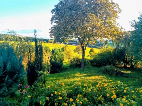 Foto - 3 Zimmer Maisonettenwohnung in Emmendingen