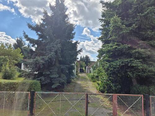 Foto - Einfamilienhaus zum Kaufen in Beeskow