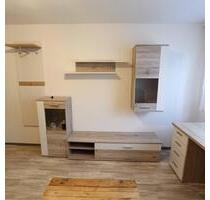 Möbliertes Appartement 1 ZKnB 18 m² neu renoviert - ruhige Lage - Mainz Mombach