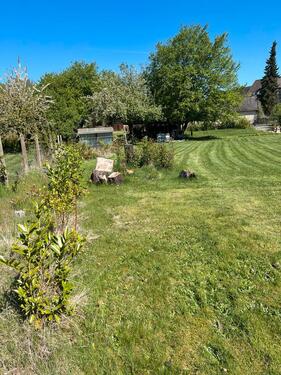 Foto - Grundst&uuml;ck zur Miete in Uelzen