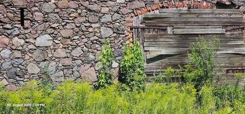 Foto - Einfamilienhaus zum Kaufen in Oberbarnim