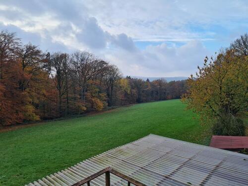 Foto - 4 Zimmer Etagenwohnung zur Miete in Hasbergen