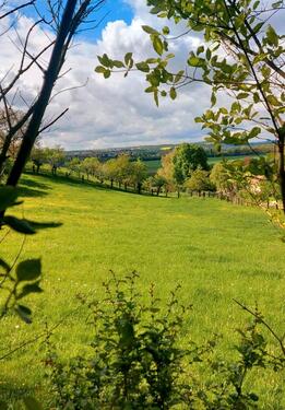 Foto - schöne 2-Raum-Wohnung in der Natur