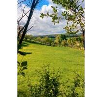 schöne 2-Raum-Wohnung in der Natur - Naumburg (Saale)