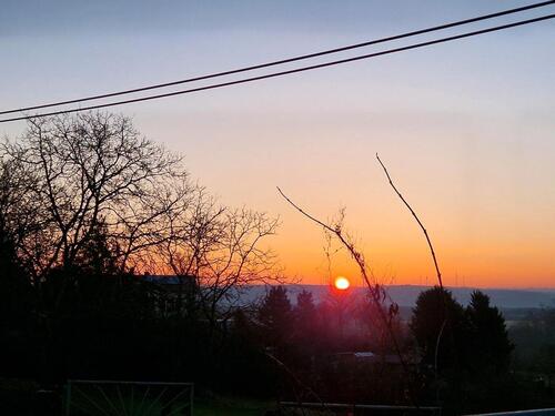 Foto - 2 Zimmer Erdgeschoßwohnung in Naumburg (Saale)