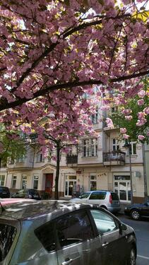 Foto - 3 Zimmer Etagenwohnung zum Kaufen in Berlin