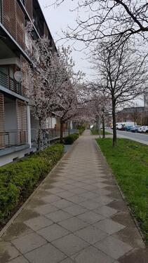 Foto - 4 Zimmer Erdgeschoßwohnung zur Miete in Hannover