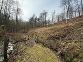 Foto - Waldgrundstück in 56581 Ehlscheid