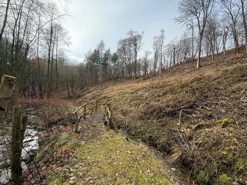 Foto - Waldgrundstück in 56581 Ehlscheid