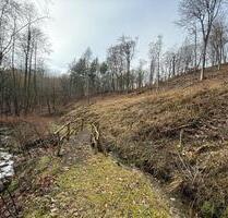 Waldgrundstück in 56581 Ehlscheid - Melsbach