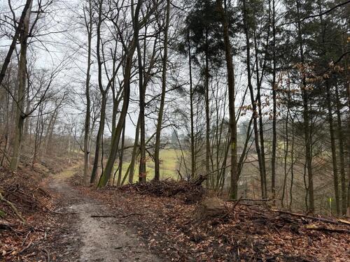Foto - Grundst&uuml;ck in Melsbach
