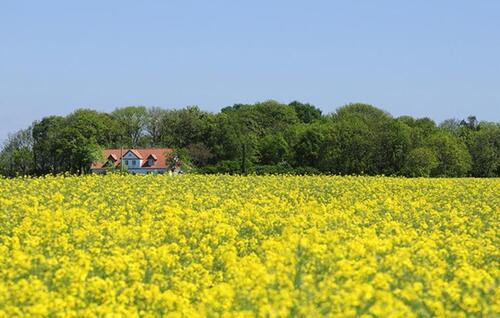 Foto - andere zur Miete in Dranske