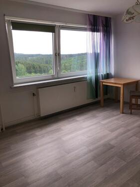 Foto - 1 Zimmer Etagenwohnung zur Miete in Harz (LK Goslar)