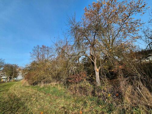 Foto - Gartengrundstück, Wiese,in Linden,bei Giessen
