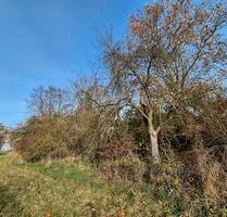 Gartengrundstück, Wiese,in Linden,bei Giessen - Lollar